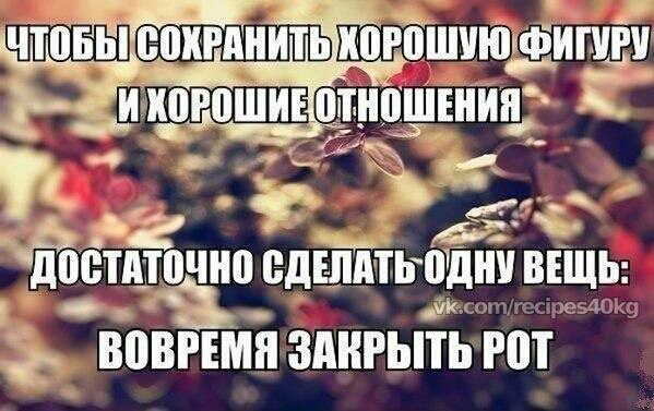 к Ю ЗгДШПИИИИГЬ И0Р0ШУЮКФИГУ ИИПРПШИЕ ПТИОШЕИИИ К ВВ БМП ЗДИРЬПЬ РШ