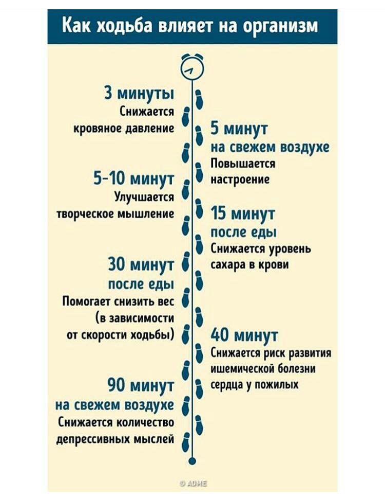 Кан ходьба влияет на организм 3 минуты Снижается кровяное давление 510 минут Улучшается творческое мышление в 5 минут на свежем воздухе Повышается 5 настроение 3 15 минут после еды Снижается уровень 30 минут сахара в крови после еды Помогает снизить вес в зависимости от скорости ходьбы з 40 минут Снижается риск развития ишемической болезни сердца у пожилых 90 минут на свежем воздухе Снижается коли