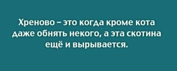 хреново ЭТО когда кроме кота даже обнять некого эта скотина ещё И вырывается