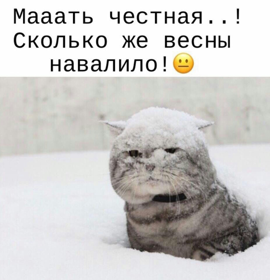 Мааать честная Сколько же весны навалилоіі