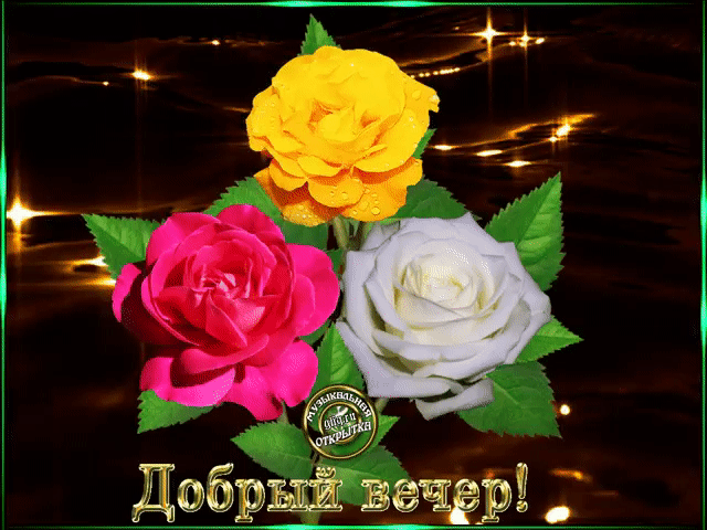 ВЁЁЁЁЁ