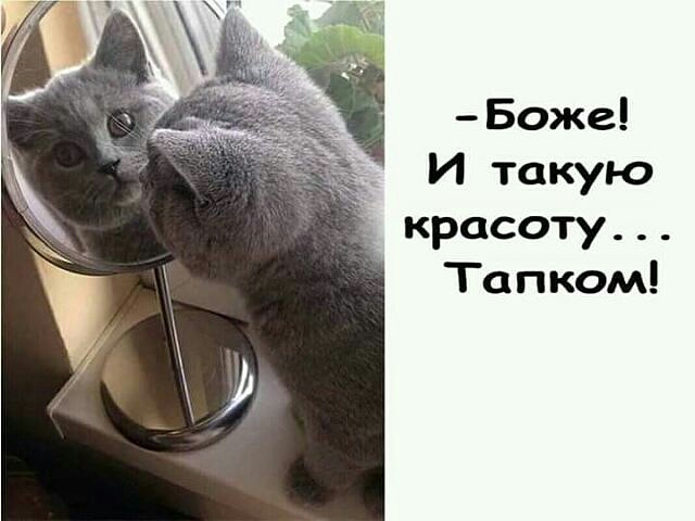 Боже И такую красоту Тапком