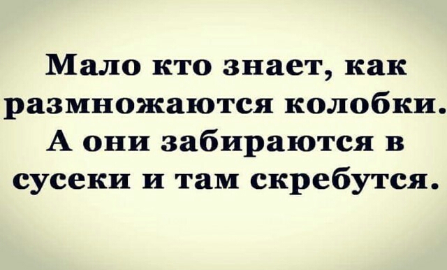Мало кто знает как размножаются колобки А они забираются в сусеки и там скребутся