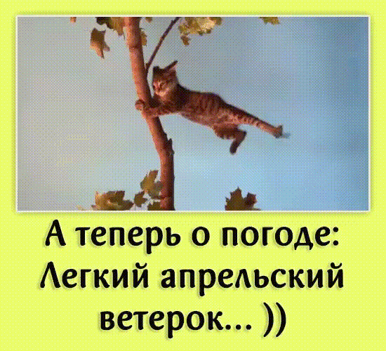 А теперь о погоде Аегкий апредьский ветерок