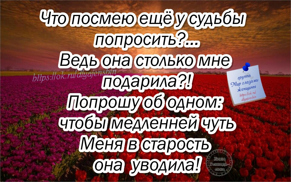 татар пастшо ФЁ таза 13