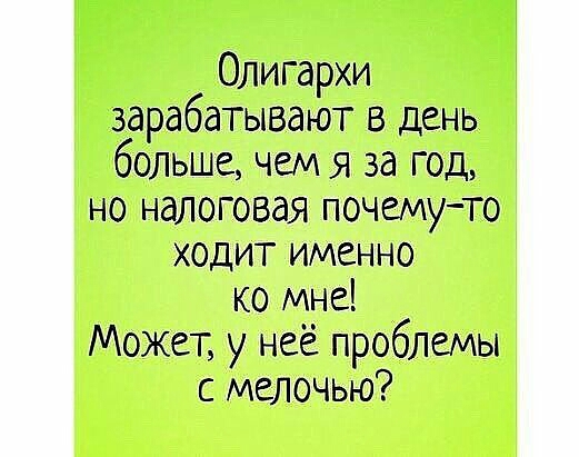 Олигархи зарабатывают в день больше чем я за год но налоговая почемуто ходит именно ко мне Может у неё проблемы с мелочью