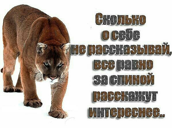 сколько виш див швшщзывщ вирши жилищ ШШБШБЩ ШЦШДШШББд