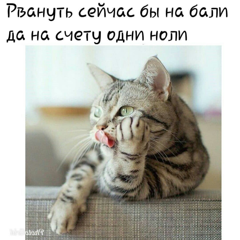 Рванчть сейчас бы на бали да на счету одни ноли
