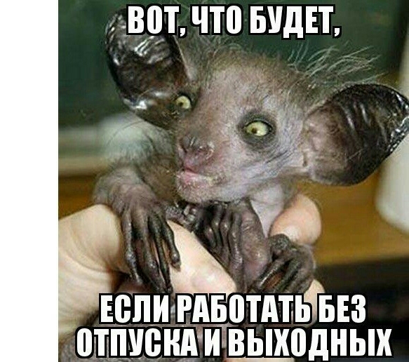_59т что видн если гьдвотАтЫыз отп нАи в_ь_ходных