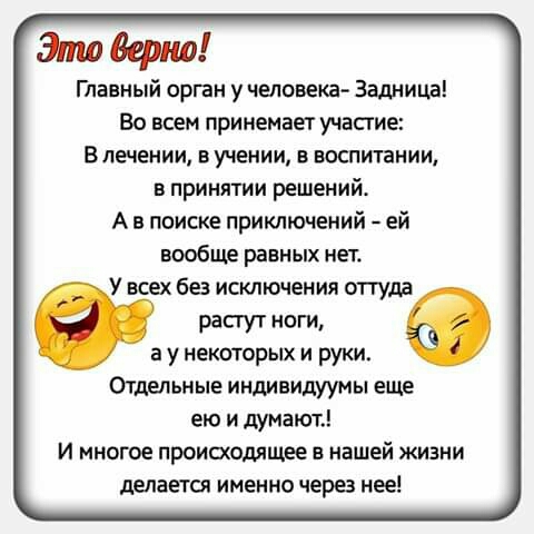 Это верно Главный орпан у человека Задница Во всем принемает участие Влечении в учении воспитании в принятии решений А в поиске приключений ей вообще равных нет У всех без исключения оггуда Растут ноги а у некоторых и руки Отдельные индивидуумы еще ею и думают И многое происходящее в нашей жизни делается именно через нее