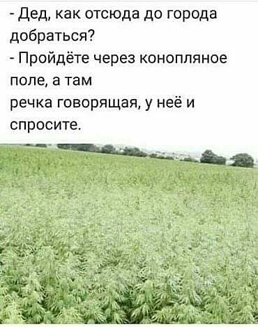 дед как отсюда до города добраться Пройдёте через коноппяное поле а там речка говорящая у неё и спросите