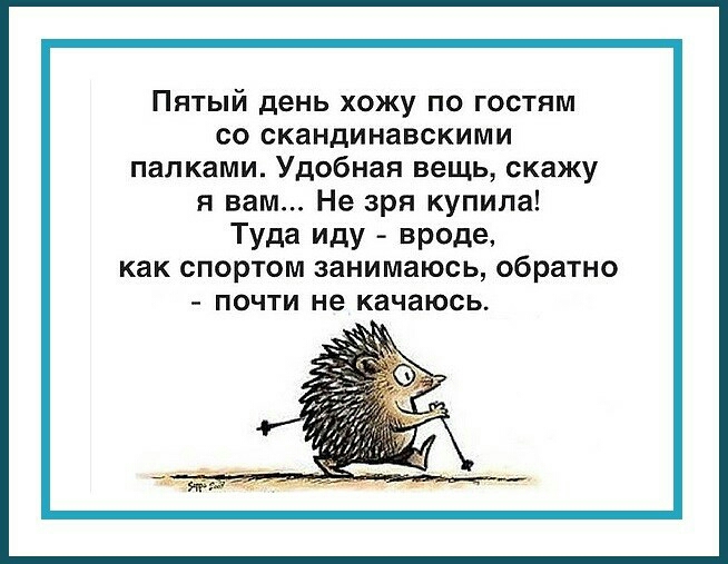Пятый день хожу по гостям со скандинавскими палками Удобная вещь скажу я вам Не зря купила Туда Иду вреде как спортом занимаюсь обратно ПОЧТИ не качаюсь