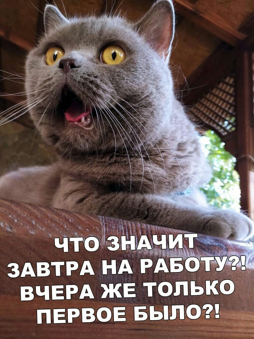 ВЧЕРА ЖЕ только ПЕРВОЕ БЫЛО