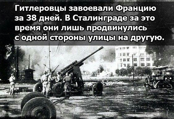 Гитлеровцы завоевали Францию за 38 дней В Сталинграде за это время они лишь продвинулись с одной стогюны улицы на другую