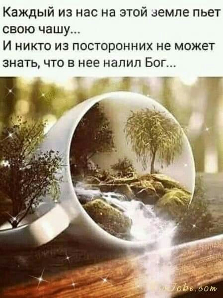 Каждый из нас на этой земле пьет свою чашу и никто из посторонних не может знать что в нее налил Бог