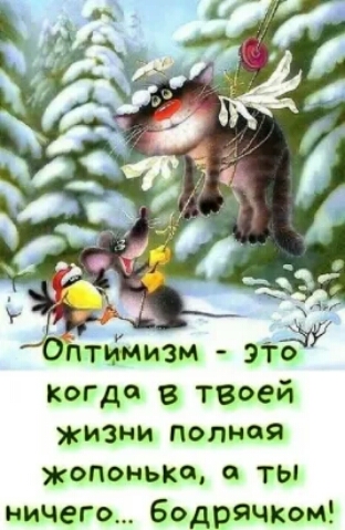 Оптимизм 911 Когда в твоей ЖИЗНИ ПОЛНОЙ жопонькщ а ты ничего Бодрячком