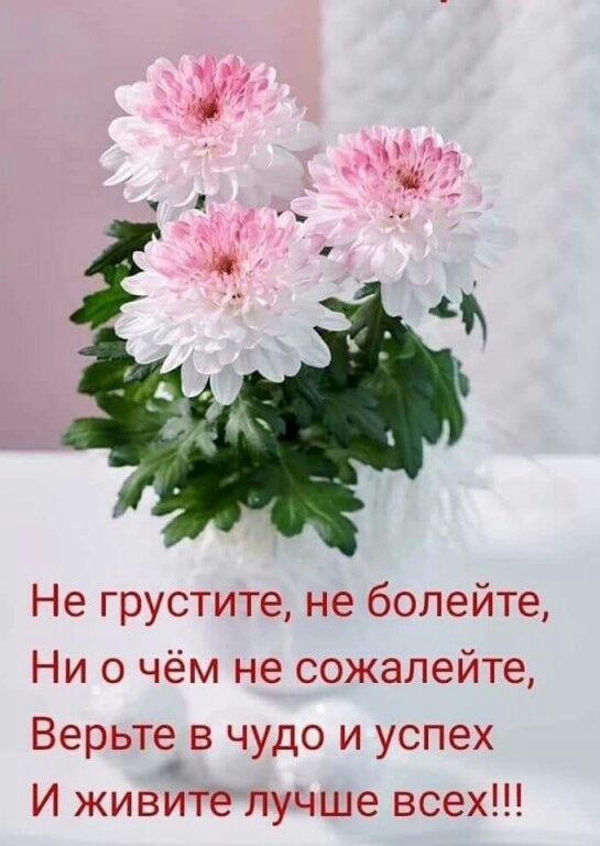 Не грустите не болейте Ни о чём не сожалейте Верьте в чудо и успех И живите лучше всех