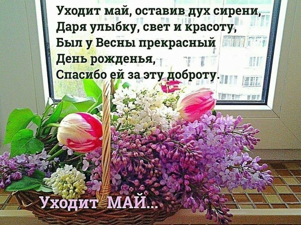 Уходит май оставив дух сирени Даря улыбку свет и красоту Был у Весны прекрасный День рожденья 1 Спасибо