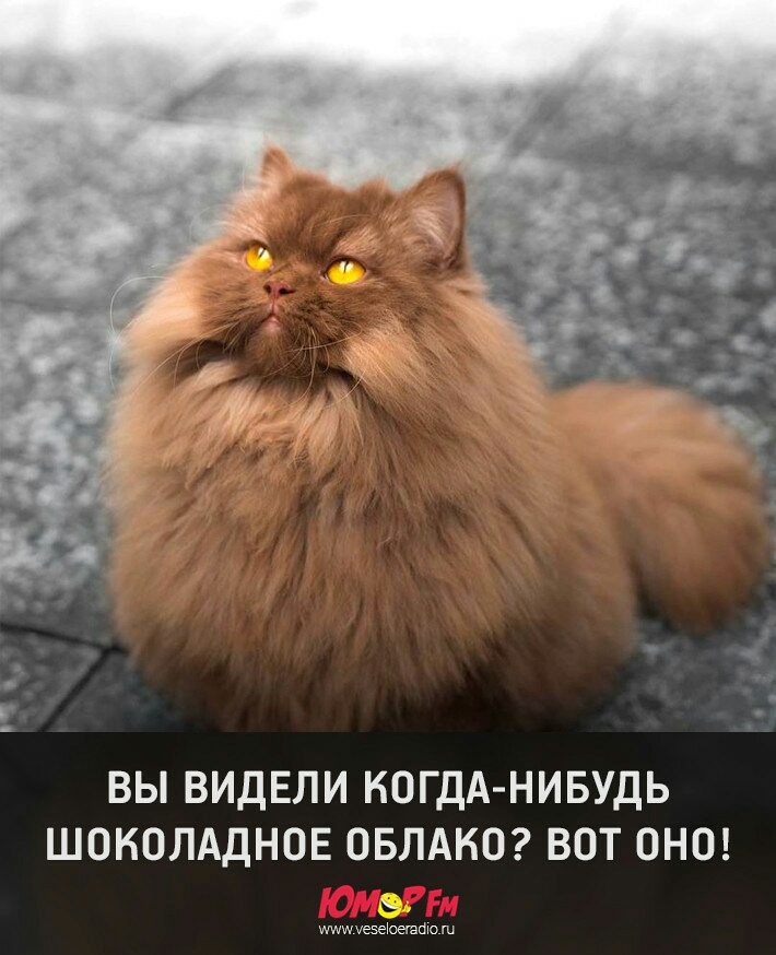 ВЫ ВИДЕЛИ КОГДА НИБУДЬ ШОКОЛАДНОЕ ОБЛАКО ВОТ ОНО