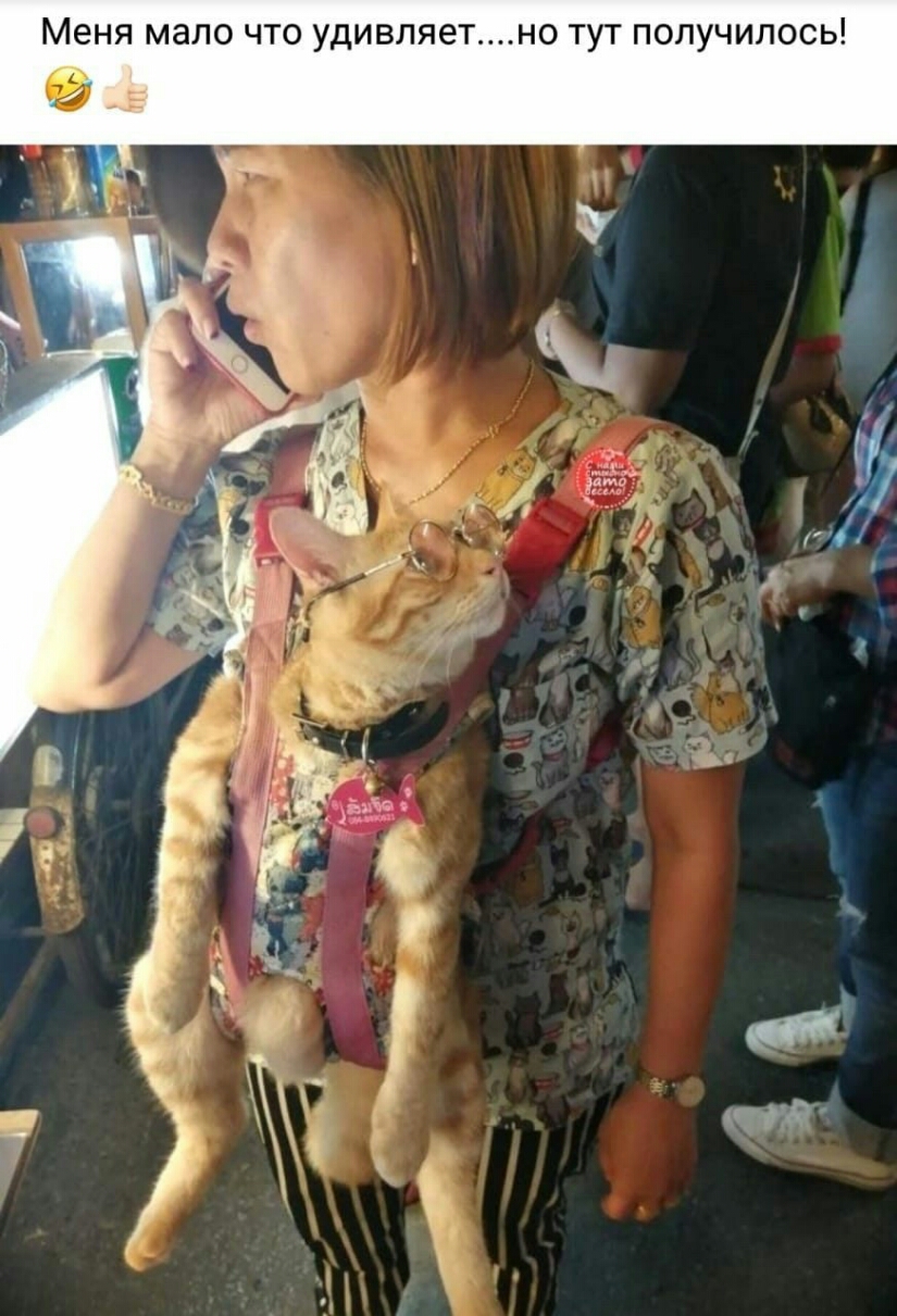 Меня мало что удивляетно тут получилось Ё