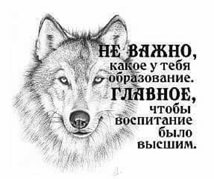 дЦЖНО ка оеутеб я Ёоёр _зование ПППВНОЕ т чтобы Ёоспитание р было высшим