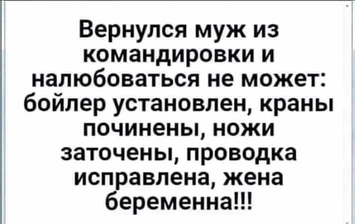 Вернулся муж из командировки и налюбоваться не может бойлер установлен краны починены ножи заточены проводка исправлена жена беременна
