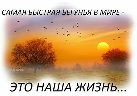 это НА Шд Жиз