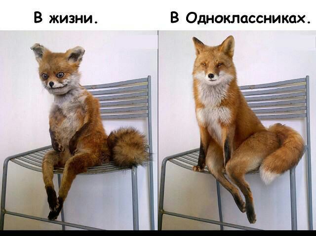 В жизни В Одноклассниках