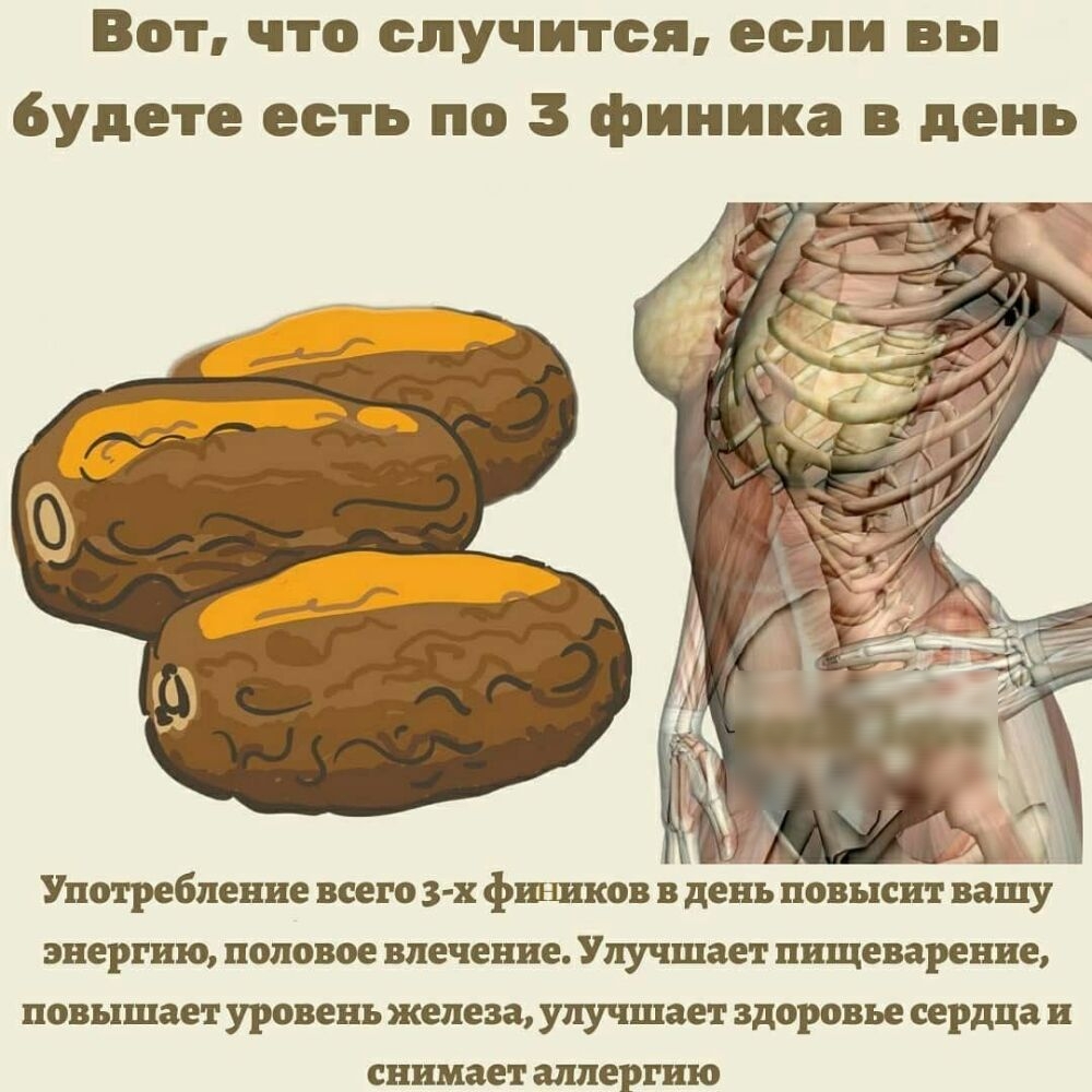 Вот что случится если вы будете есть по 3 финика в день Употребление всего 3 1 фиников в день повысит вашу энергию половое влечение Улучшает пищеварение повышает уровень железа улучшает здоровье сердца и снимает аллергию
