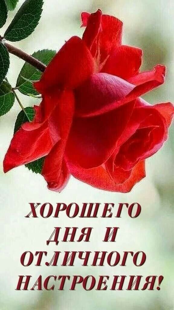 ХОРОШЕГО ДНЯ И ОТЛИЧНОГО НА ОТРОЕНИЯ А