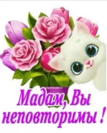 НЗТШЗЁЛОРЗ Ши