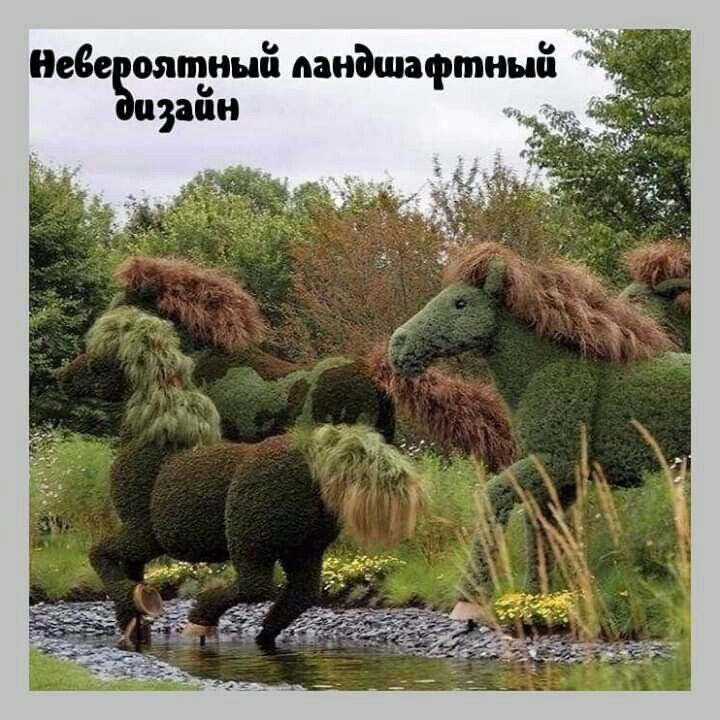 Неве ватный панішафтныіі изаіш