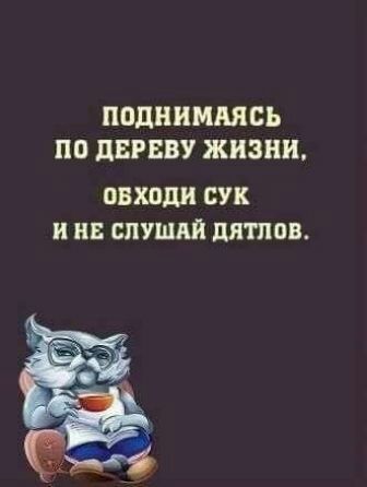 ПОДННММСЪ ПО ЦБРЕВУ ЖИЗНИ овхпди сук и ш спушпй дятлов