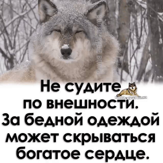 еЁуьите по внешности Зо беАной одеждой может скрываться богатое сердце