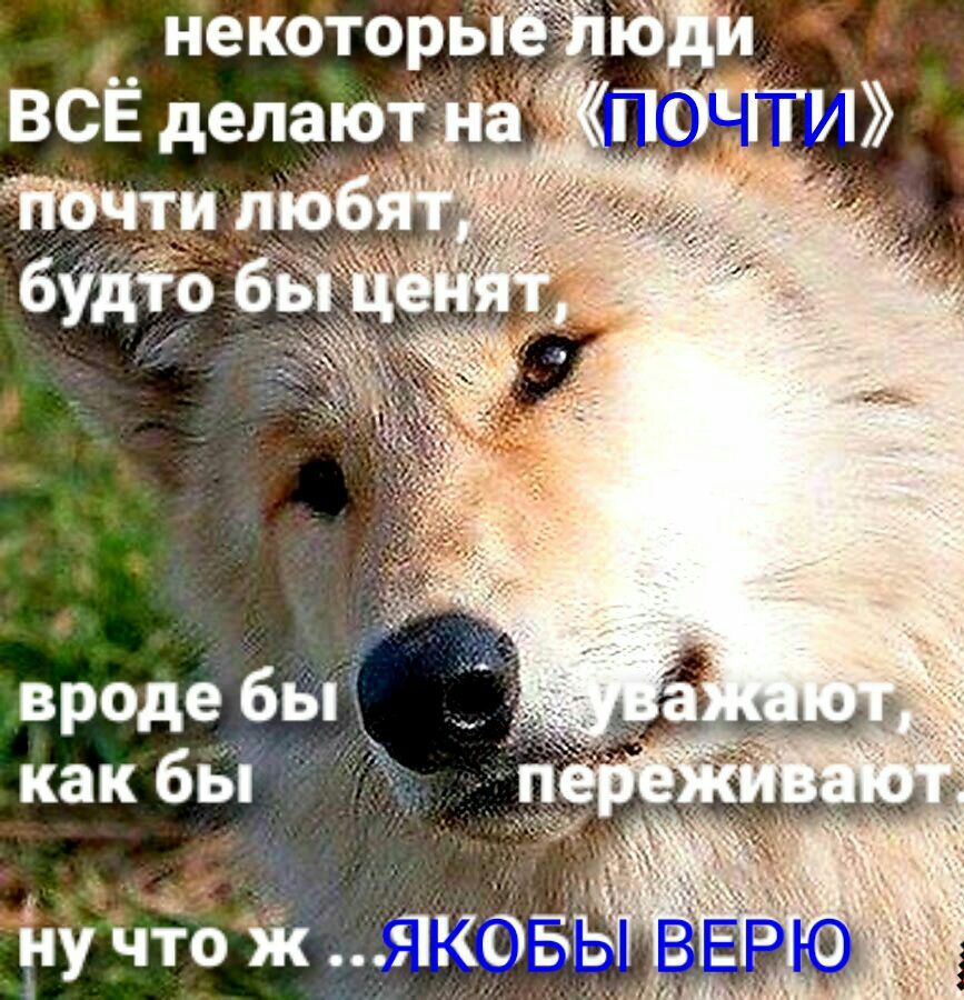 іі КТРЬ врде бы