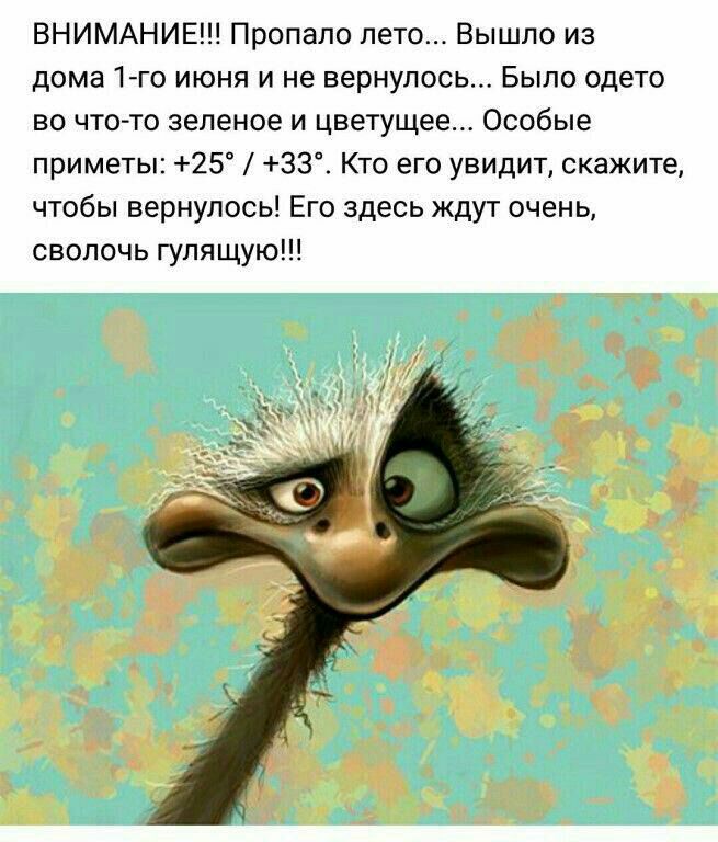 ВНИМАНИЕ Пропало лето Вышло из дома 1 го июня и не вернулось Было одето во чтото зеленое и цветущее Особые приметы 25 33 Кто его увидит скажите чтобы вернулось Его здесь ждут очень сволочь гулящую