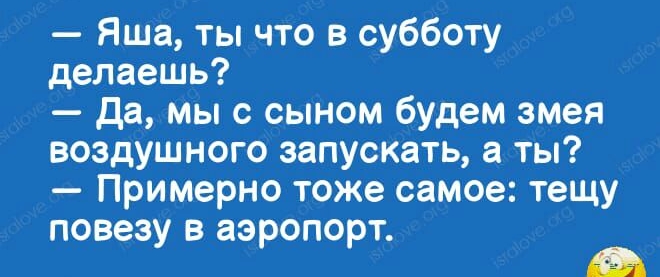 Яша ты что в субботу делаешь да мы с сыном будем змея воздушного запускать а ты Примерно тоже самое тещу повез в аэ опо т У Р Р А