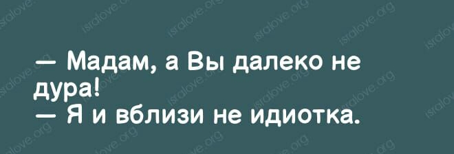 Мадам а Вы далеко не дура Я и вблизи не идиотка