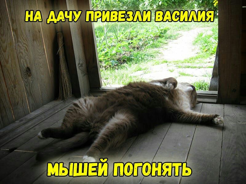 мшщЁЁйтз пощЙЁіПЁ