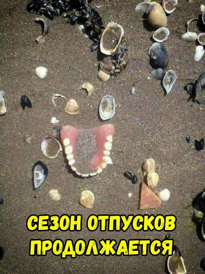 продажшгтсіг3