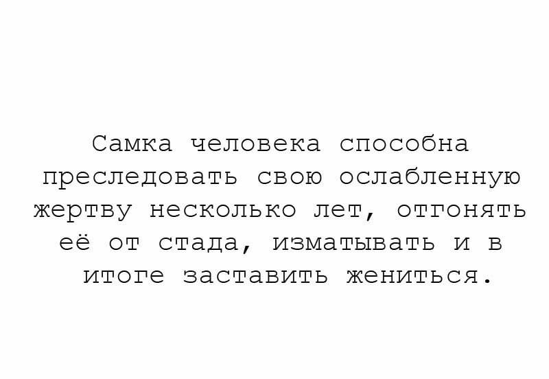 Самка человека способна преследовать СВОЮ ослабгенную жертву несколько лет огтчонять её от стада изматывать И в итоге заставить жеНИПЭСЯ