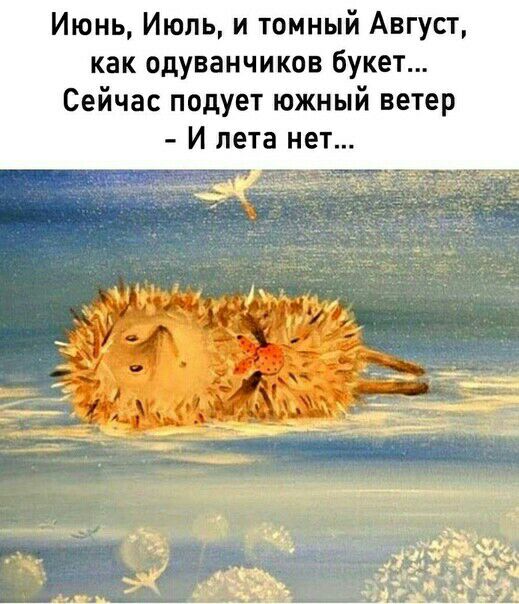 Июнь Июль и томный Август как одуванчиков букет Сейчас подует южный ветер И пета нет