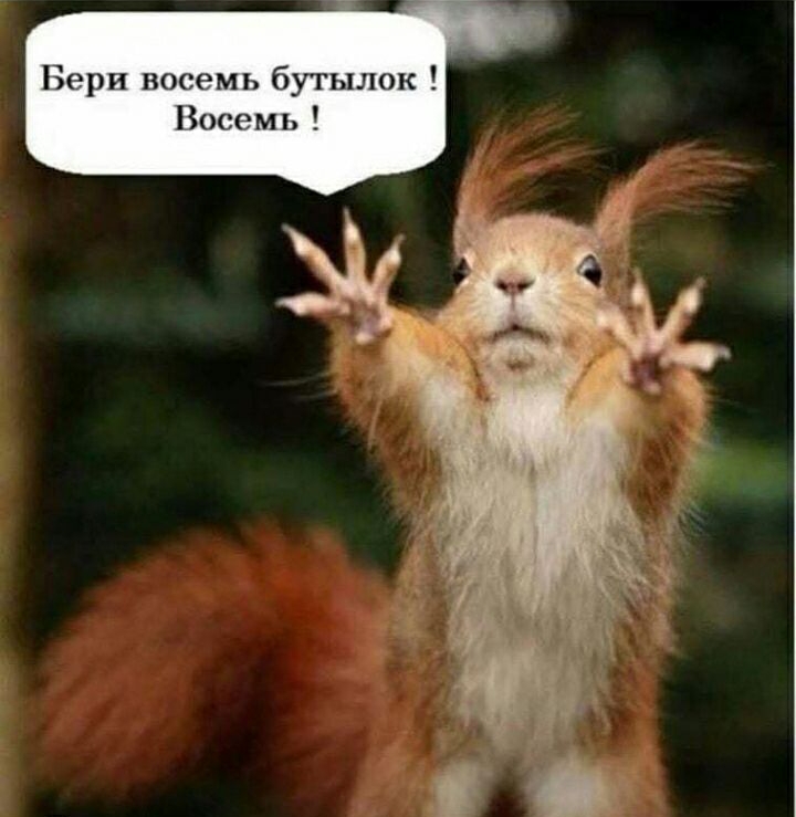 Бори восемь бугылок Восемь