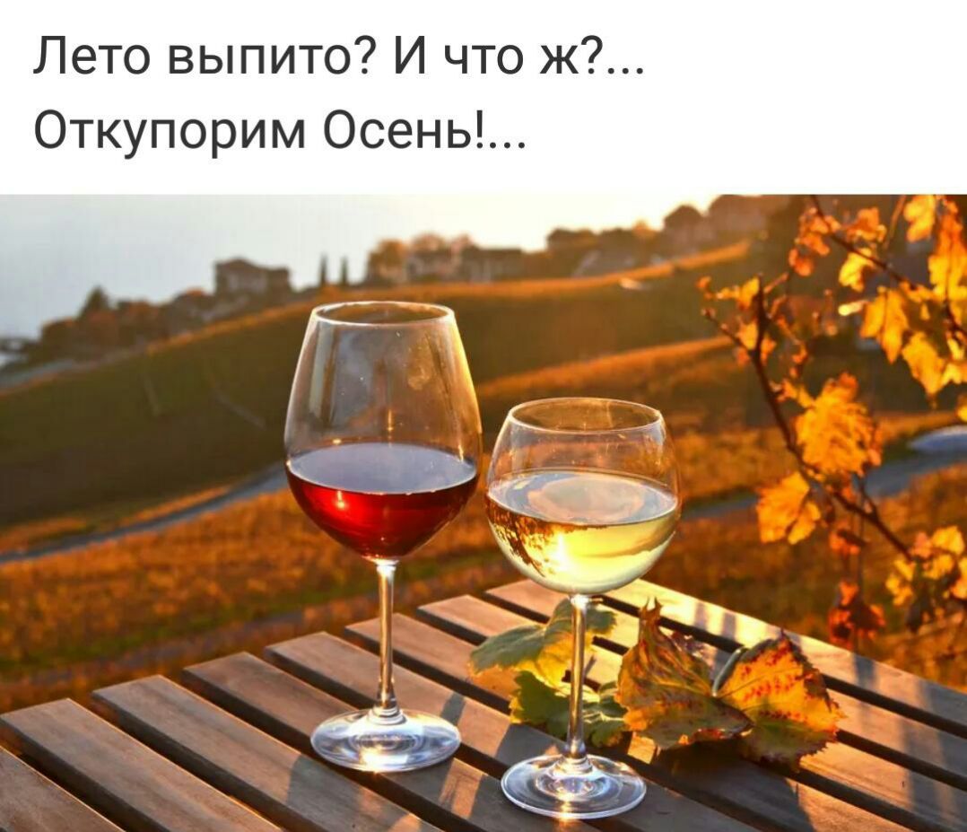 Лето выпито И что ж Откупорим Осень