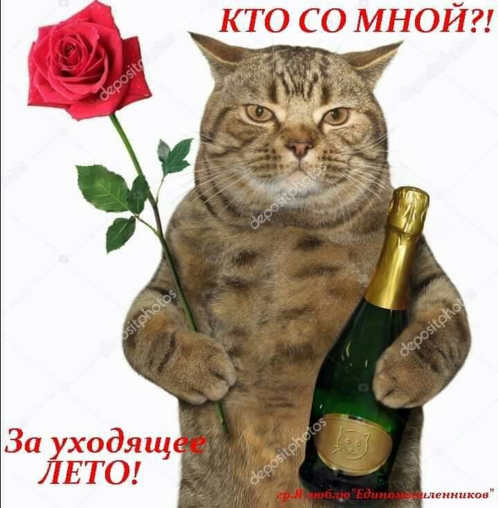Р Ц ты годя