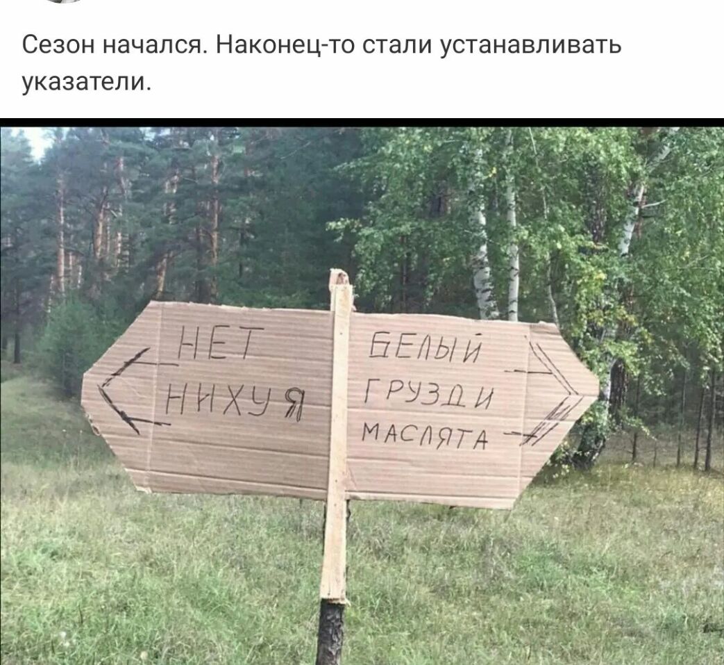 СезонначалсяНаконецтостапиустанавливать указатели РМАСЛЯ 74 __ _