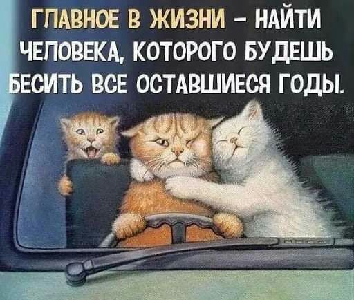 гпмзнов в жизни НАЙТИ чнповвкд которого БУДЕШЬ есть все остдвшився годы