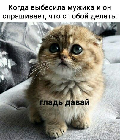 Когда выбесипа мужика и он спрашивает что с тобой делать