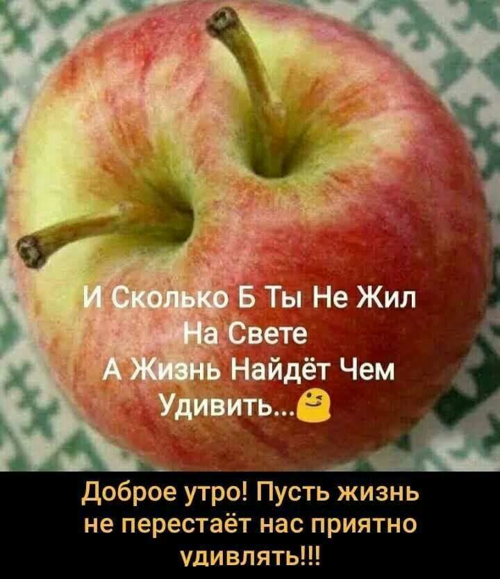Доброе утро Пусть жизнь не перестаёт нас приятно удивлять