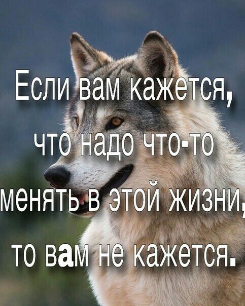 Еслихвам каж